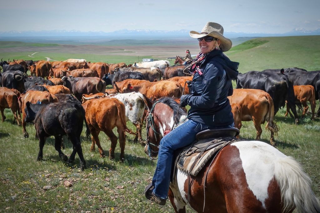 An Exciting Adventure on the Ranch with the Cattle