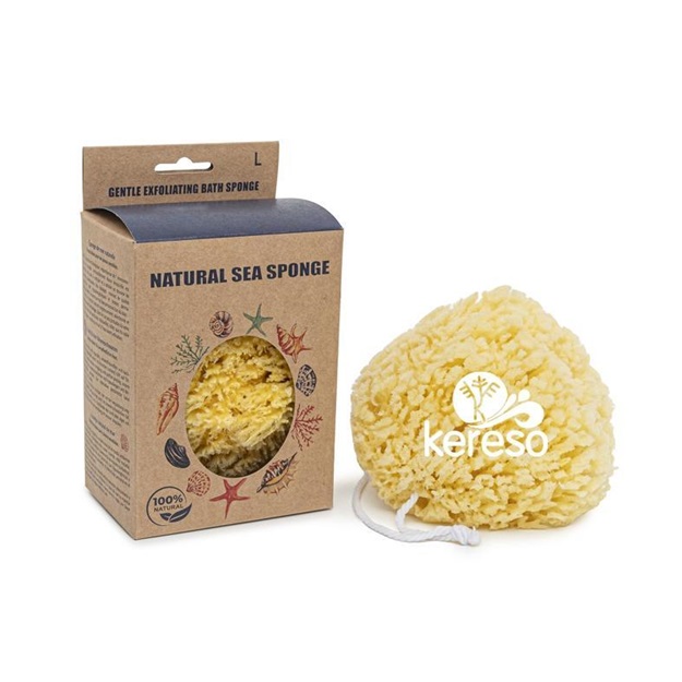 Unveiling the Wonders and Versatility of Natural Sea Sponge Species
